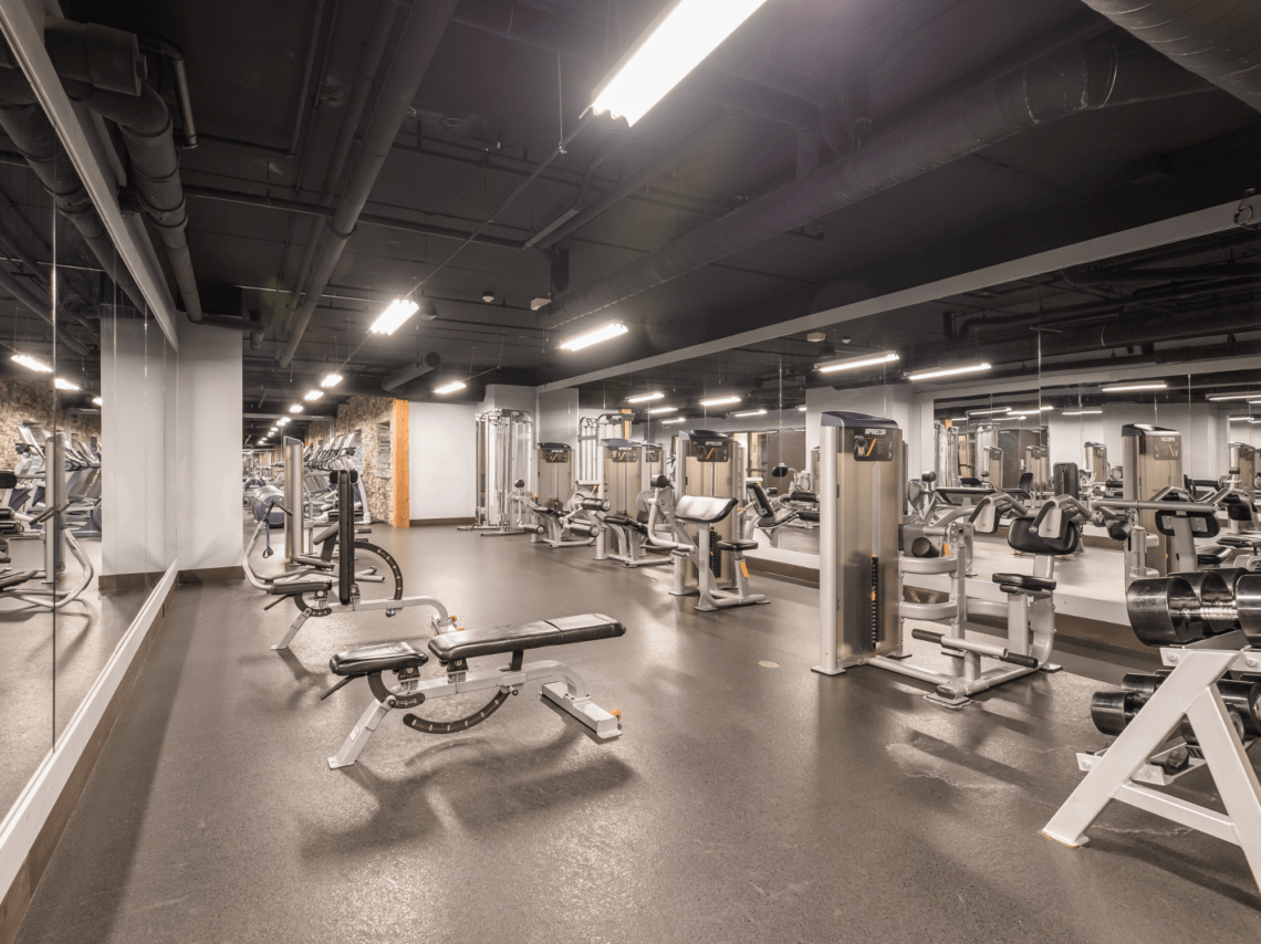Fitness centre with weights and cardio equipment