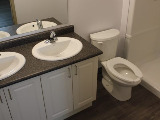 Bathroom with sink, cupboards and toilet