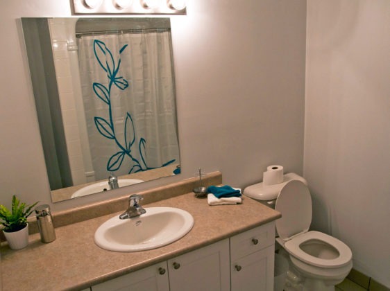 bathroom with sink and toilet