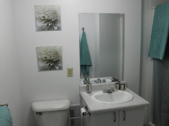 bathroom with toilet, sink and mirror
